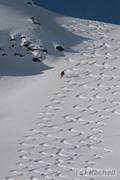 Foto Eisklettern in den Ötztaler Alpen